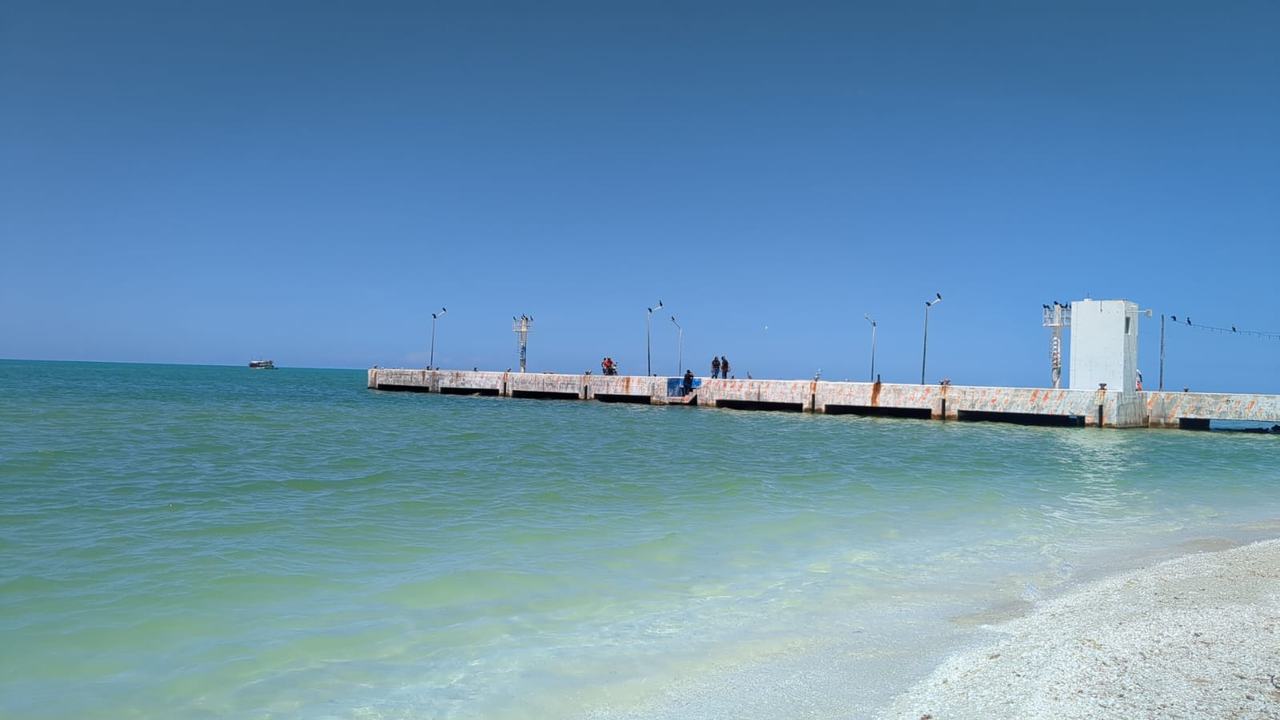Muelle de Celestún sobre agua verde turquesa