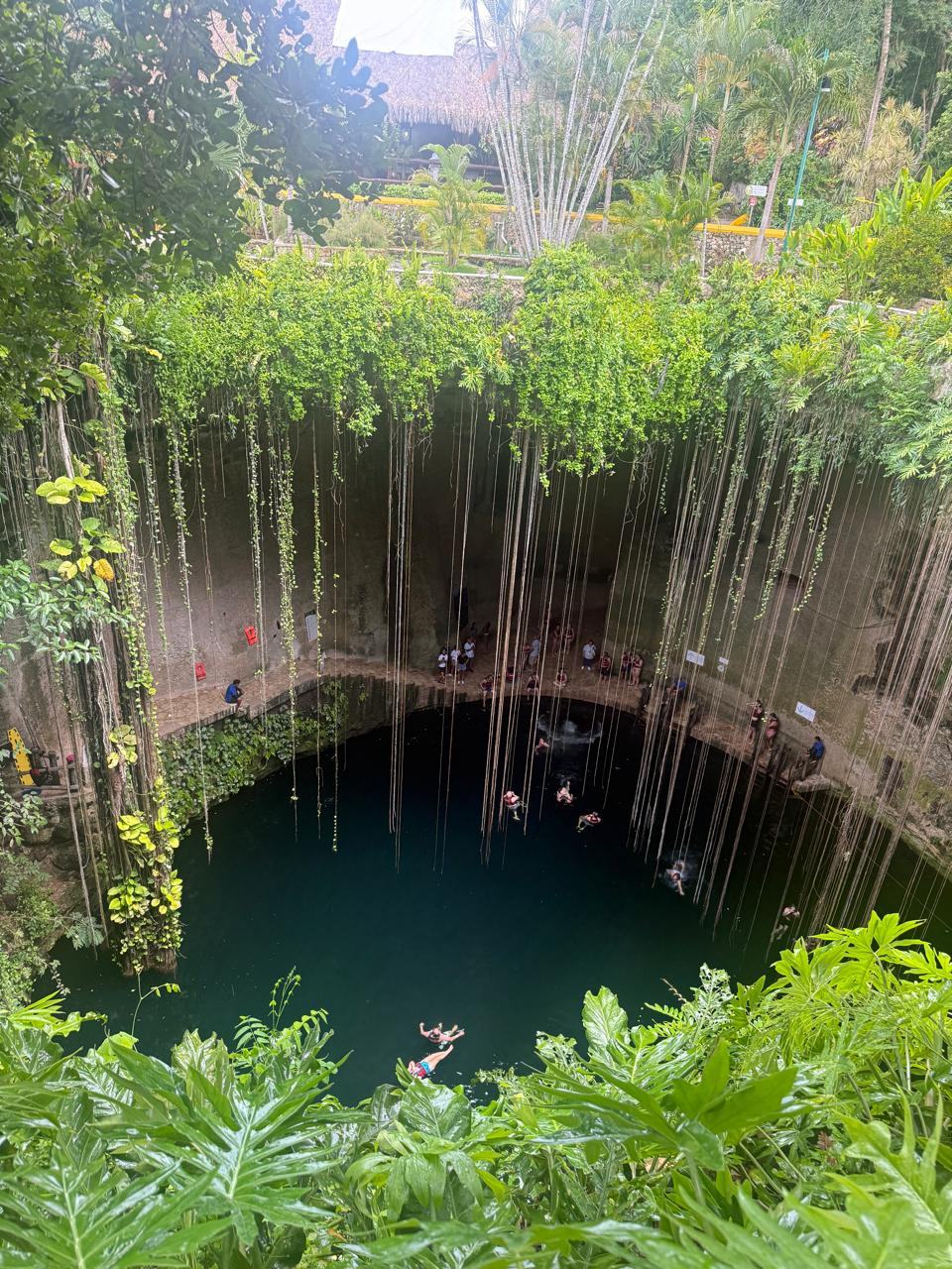 Cenote Ik Kil con raíces colgantes