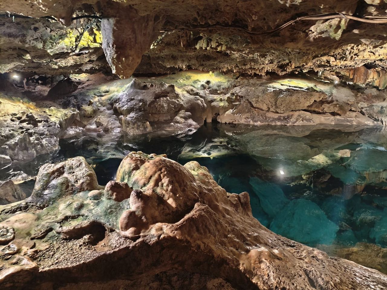 Estalactita sobre el agua del Cenote San Ignacio