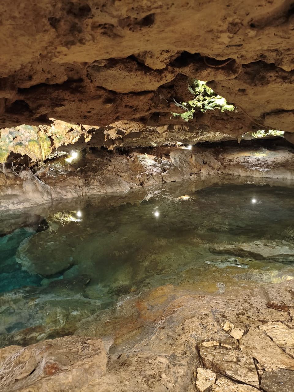 Luz natural entrando a la caverna del Cenote San Ignacio