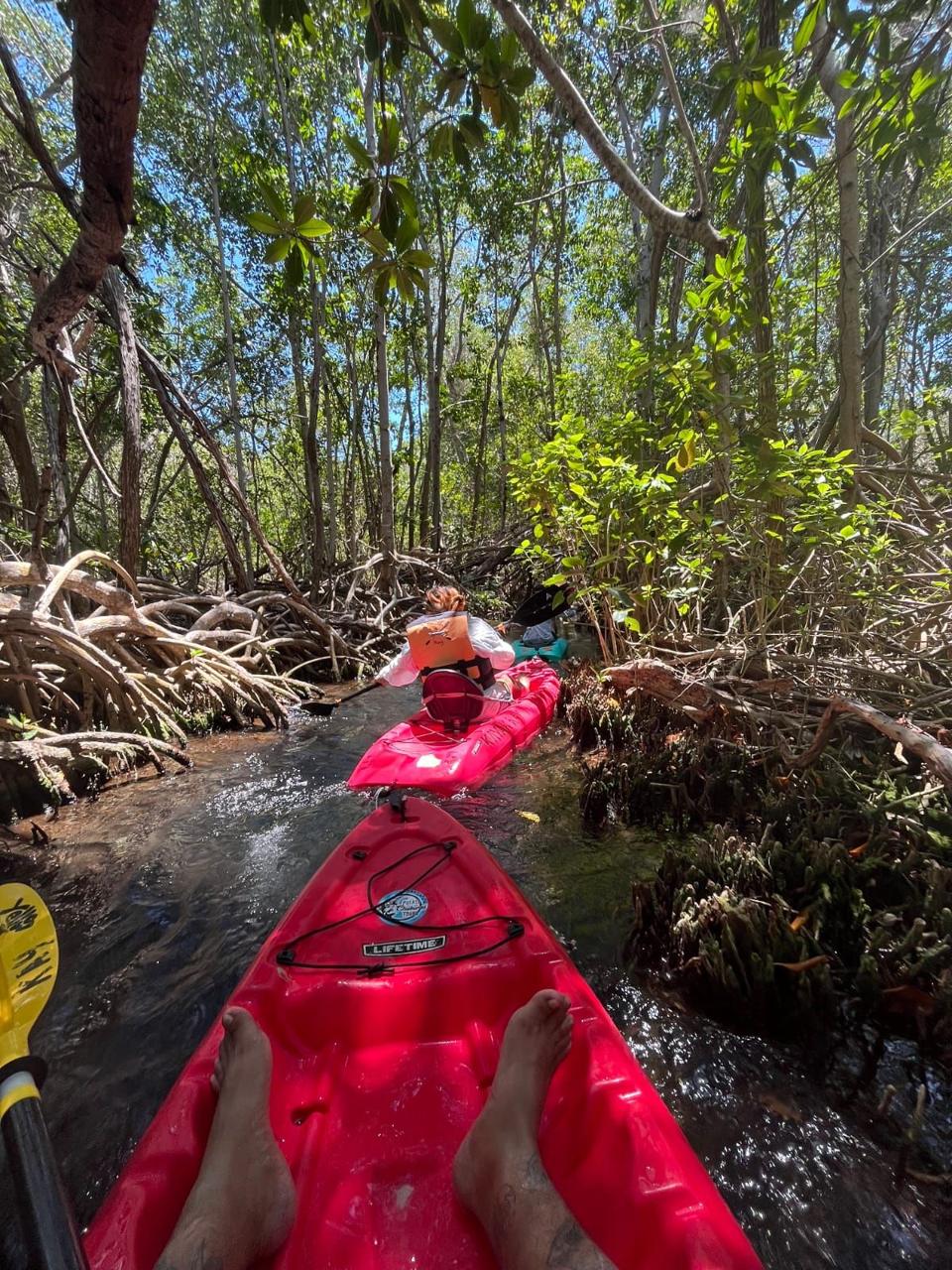 Kayak entre los túneles del manglar en Islas Columpios