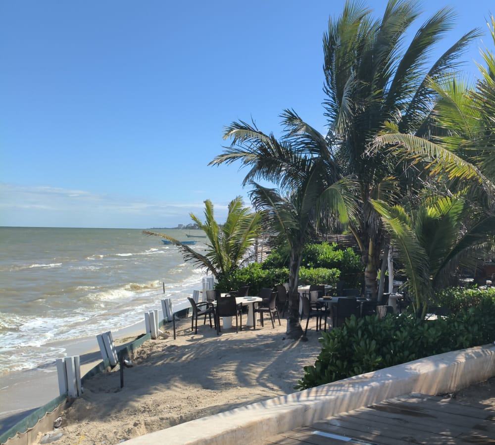 Palmeras y mesas frente al mar en el malecón
