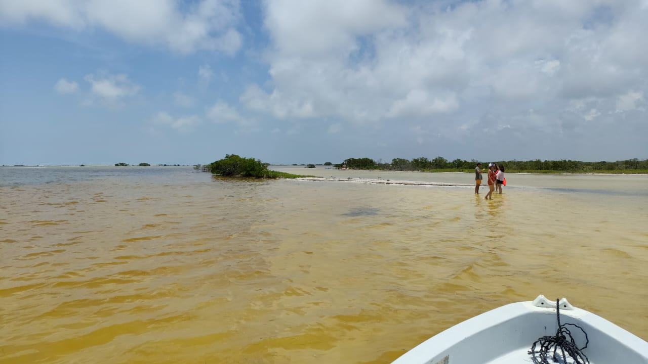 Paseo en lancha por las aguas doradas de la reserva de Río Lagartos